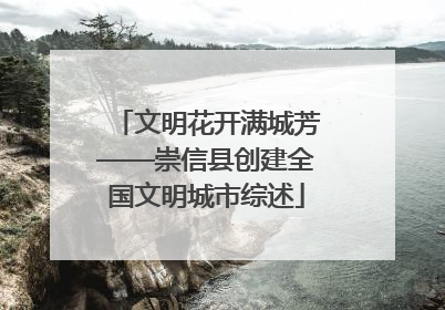 文明花开满城芳——崇信县创建全国文明城市综述