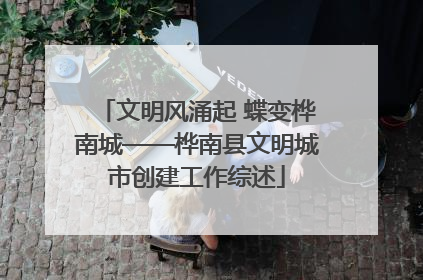 文明风涌起 蝶变桦南城——桦南县文明城市创建工作综述