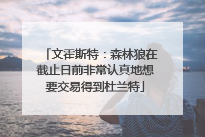 文霍斯特：森林狼在截止日前非常认真地想要交易得到杜兰特