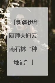 新疆伊犁厨师夫妇云南石林“种地记”