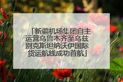 新疆机场集团自主运营乌鲁木齐至乌兹别克斯坦纳沃伊国际货运航线成功首航