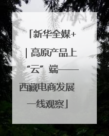 新华全媒+｜高原产品上“云”端——西藏电商发展一线观察
