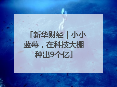 新华财经｜小小蓝莓，在科技大棚种出9个亿
