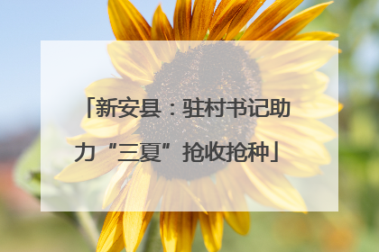新安县：驻村书记助力“三夏”抢收抢种