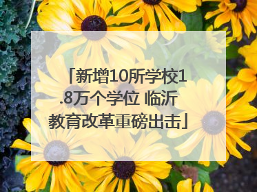 新增10所学校1.8万个学位 临沂教育改革重磅出击