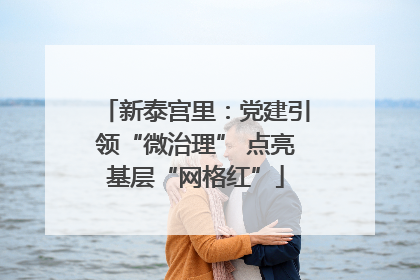 新泰宫里：党建引领“微治理” 点亮基层“网格红”