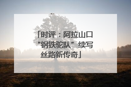 时评：阿拉山口“钢铁驼队”续写丝路新传奇