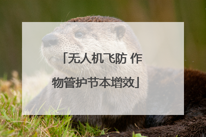 无人机飞防 作物管护节本增效
