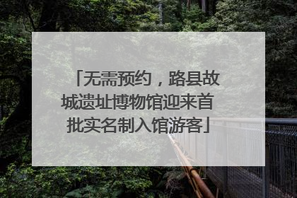 无需预约，路县故城遗址博物馆迎来首批实名制入馆游客