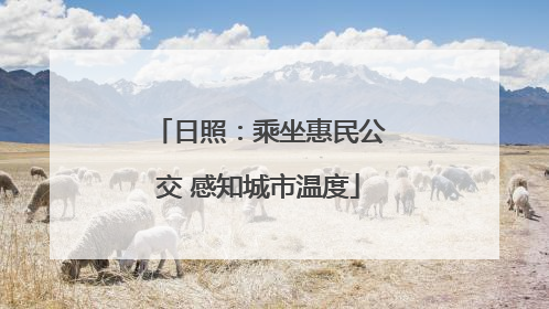 日照：乘坐惠民公交 感知城市温度