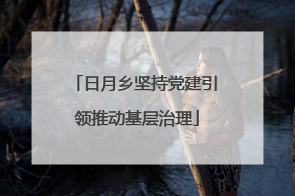 日月乡坚持党建引领推动基层治理