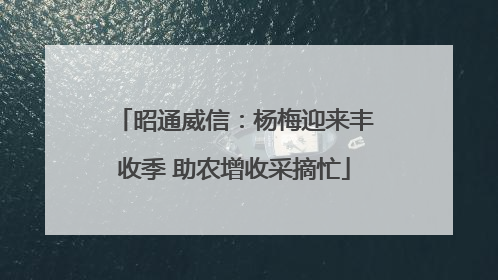 昭通威信：杨梅迎来丰收季 助农增收采摘忙