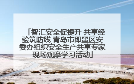 智汇安全促提升 共享经验筑防线 青岛市即墨区安委办组织安全生产共享专家现场观摩学习活动