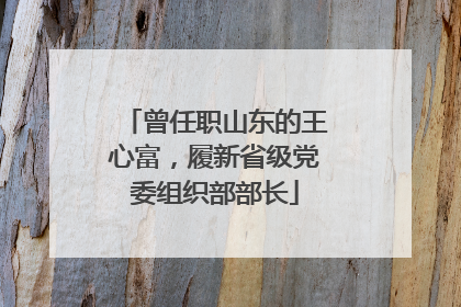 曾任职山东的王心富，履新省级党委组织部部长