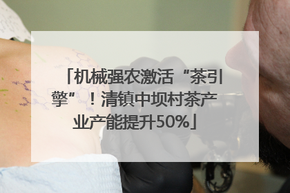 机械强农激活“茶引擎”！清镇中坝村茶产业产能提升50%