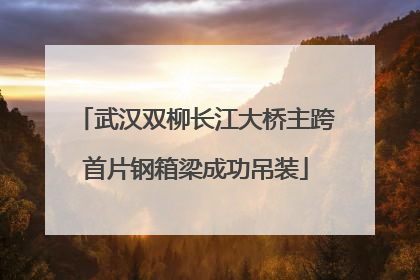 武汉双柳长江大桥主跨首片钢箱梁成功吊装