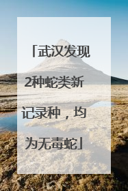 武汉发现2种蛇类新记录种，均为无毒蛇