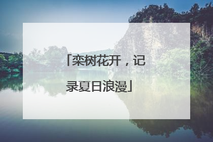 栾树花开，记录夏日浪漫