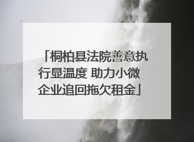 桐柏县法院善意执行显温度 助力小微企业追回拖欠租金