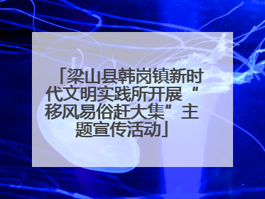 梁山县韩岗镇新时代文明实践所开展“移风易俗赶大集”主题宣传活动