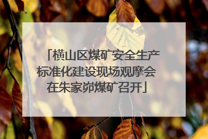 横山区煤矿安全生产标准化建设现场观摩会在朱家峁煤矿召开