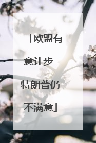 欧盟有意让步 特朗普仍不满意