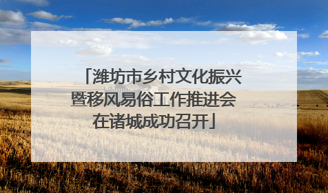 潍坊市乡村文化振兴暨移风易俗工作推进会在诸城成功召开