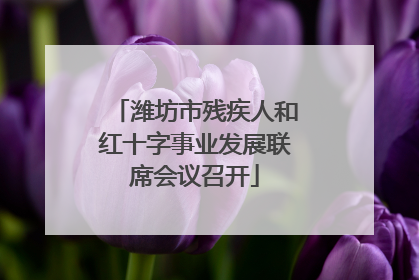潍坊市残疾人和红十字事业发展联席会议召开