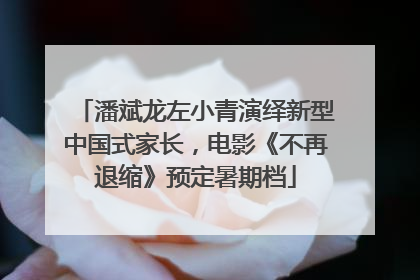 潘斌龙左小青演绎新型中国式家长，电影《不再退缩》预定暑期档