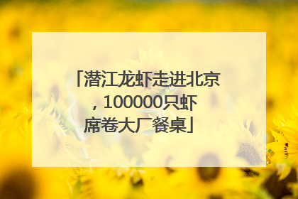 潜江龙虾走进北京，100000只虾席卷大厂餐桌