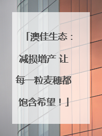 澳佳生态：减损增产 让每一粒麦穗都饱含希望！