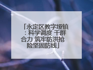 永定区教字垭镇：科学调度 干群合力 筑牢防洪抢险坚固防线