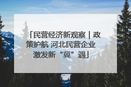 民营经济新观察｜政策护航 河北民营企业激发新“冀”遇