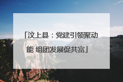 汶上县：党建引领聚动能 组团发展促共富