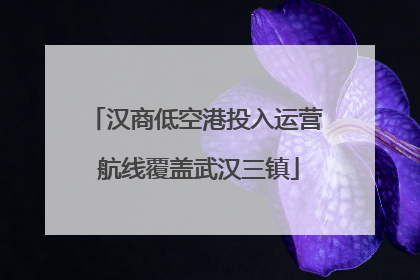 汉商低空港投入运营 航线覆盖武汉三镇