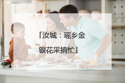 汝城：瑶乡金银花采摘忙