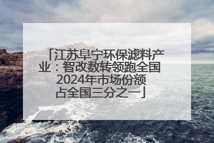 江苏阜宁环保滤料产业：智改数转领跑全国 2024年市场份额占全国三分之一