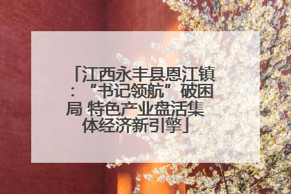 江西永丰县恩江镇：“书记领航”破困局 特色产业盘活集体经济新引擎