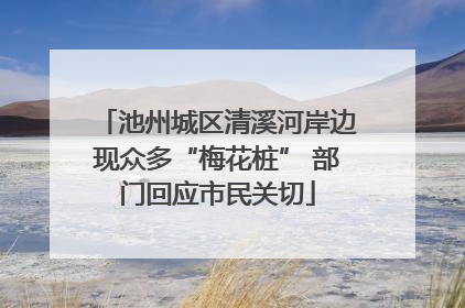 池州城区清溪河岸边现众多“梅花桩” 部门回应市民关切