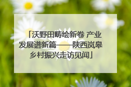 沃野田畴绘新卷 产业发展谱新篇——陕西岚皋乡村振兴走访见闻