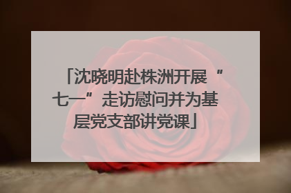 沈晓明赴株洲开展“七一”走访慰问并为基层党支部讲党课