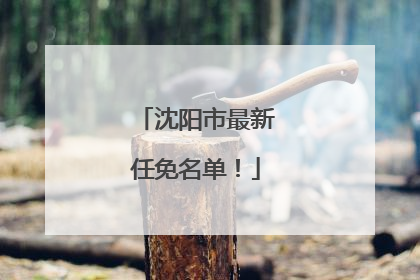 沈阳市最新任免名单！