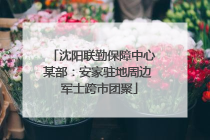 沈阳联勤保障中心某部：安家驻地周边 军士跨市团聚