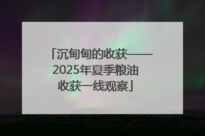 沉甸甸的收获——2025年夏季粮油收获一线观察