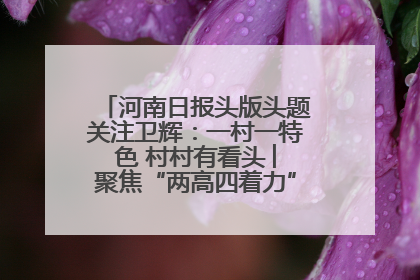 河南日报头版头题关注卫辉：一村一特色 村村有看头 ︳聚焦“两高四着力”·一“县”观察