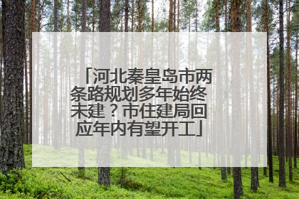 河北秦皇岛市两条路规划多年始终未建？市住建局回应年内有望开工