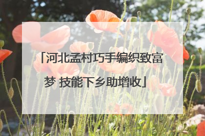 河北孟村巧手编织致富梦 技能下乡助增收
