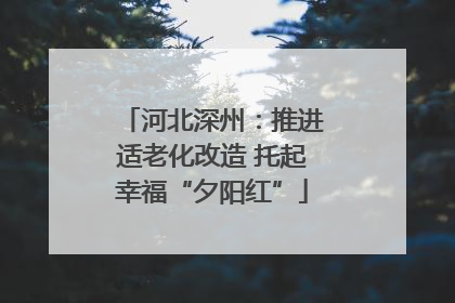 河北深州：推进适老化改造 托起幸福“夕阳红”
