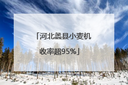 河北蠡县小麦机收率超95%