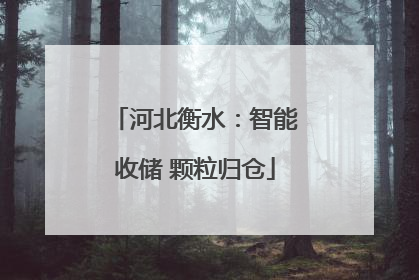 河北衡水：智能收储 颗粒归仓